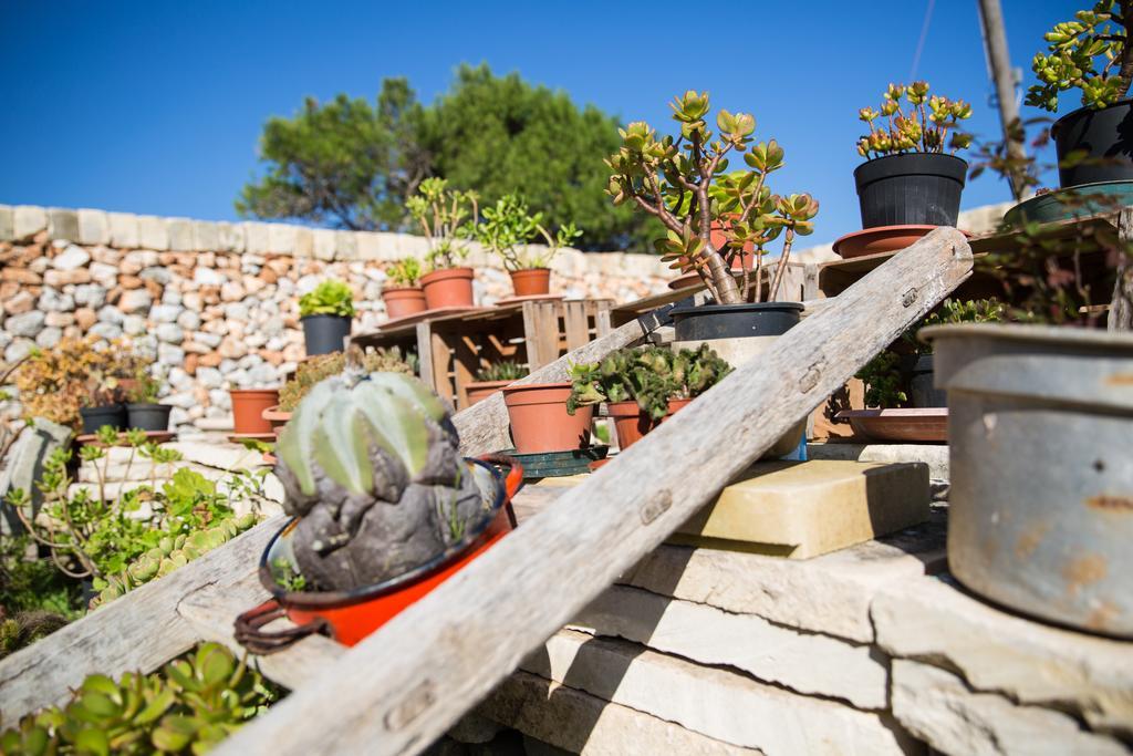 Agriturismo La Palascia Masseria Agreste Otranto Pokoj fotografie