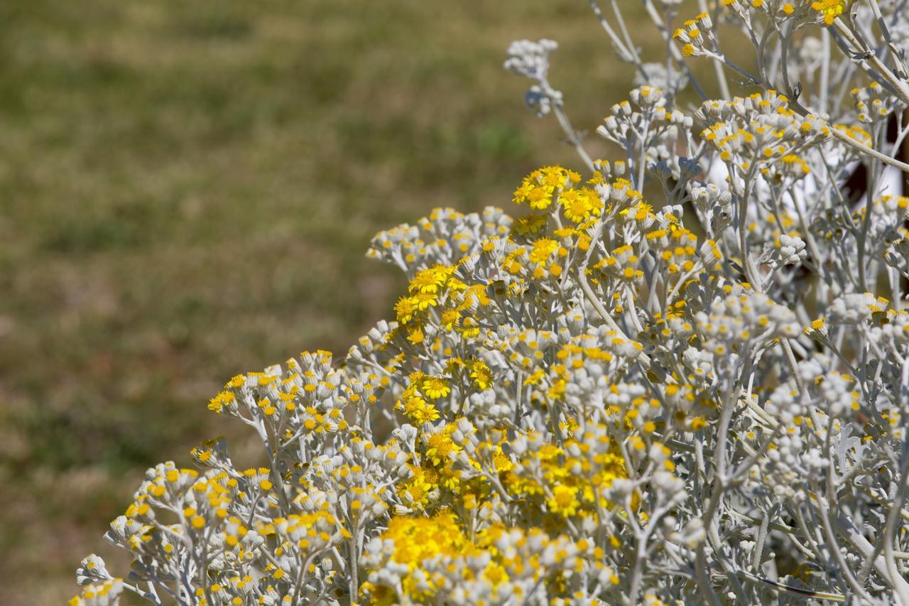 Agriturismo La Palascia Masseria Agreste Otranto Exteriér fotografie