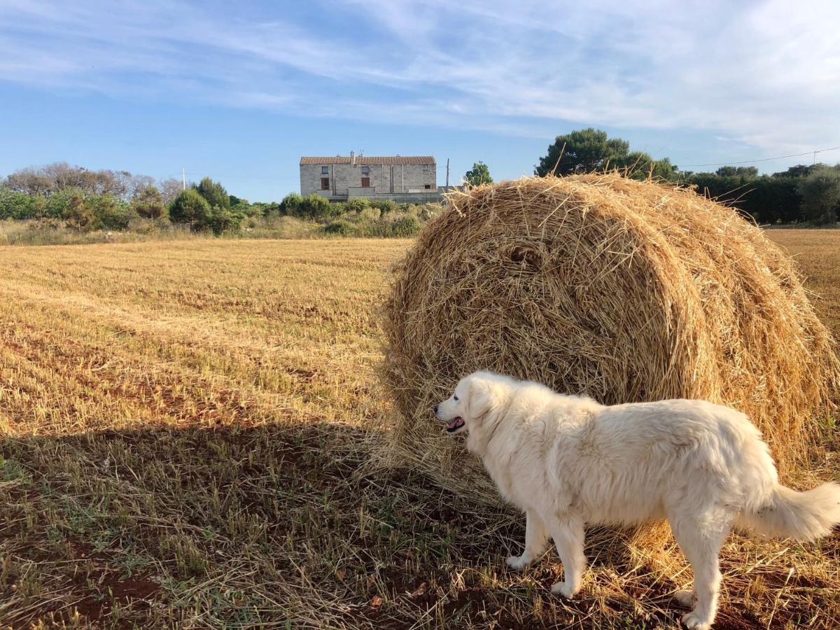 Agriturismo La Palascia Masseria Agreste Otranto Exteriér fotografie