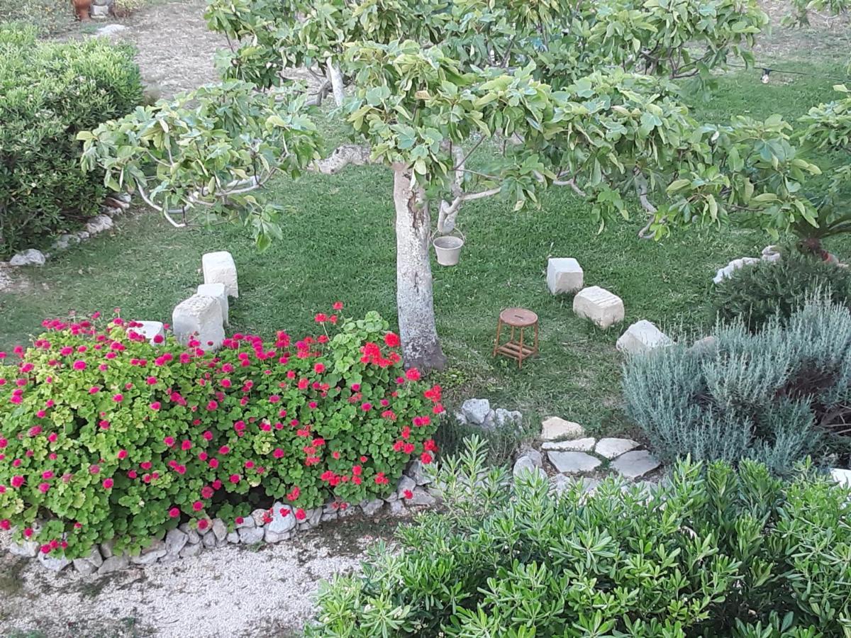 Agriturismo La Palascia Masseria Agreste Otranto Exteriér fotografie
